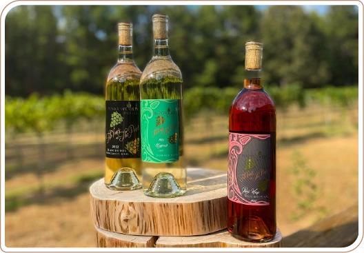Wine flight tasting at Pineywoods Vineyard